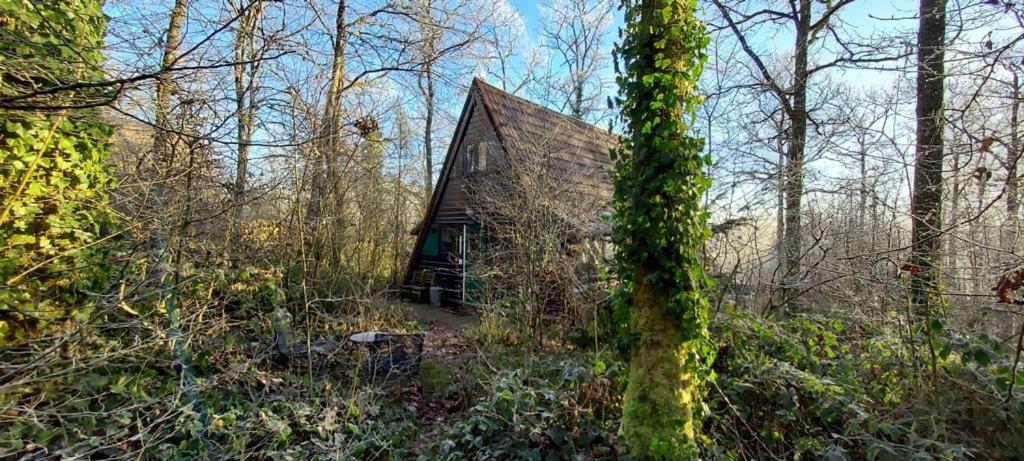Het Boshuisje In Durbuy Villa Екстериор снимка