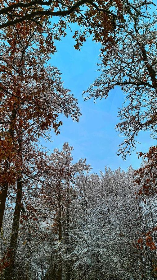 Het Boshuisje In Durbuy Villa Екстериор снимка