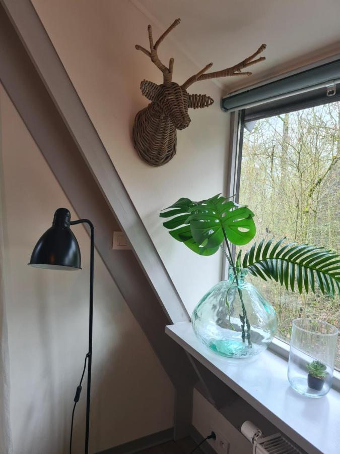 Het Boshuisje In Durbuy Villa Екстериор снимка